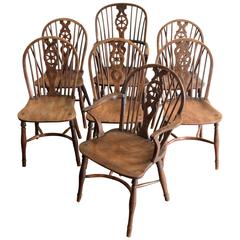 Antique Matched Set of Seven Buckinghamshire Wheel-Back Windsor Chairs