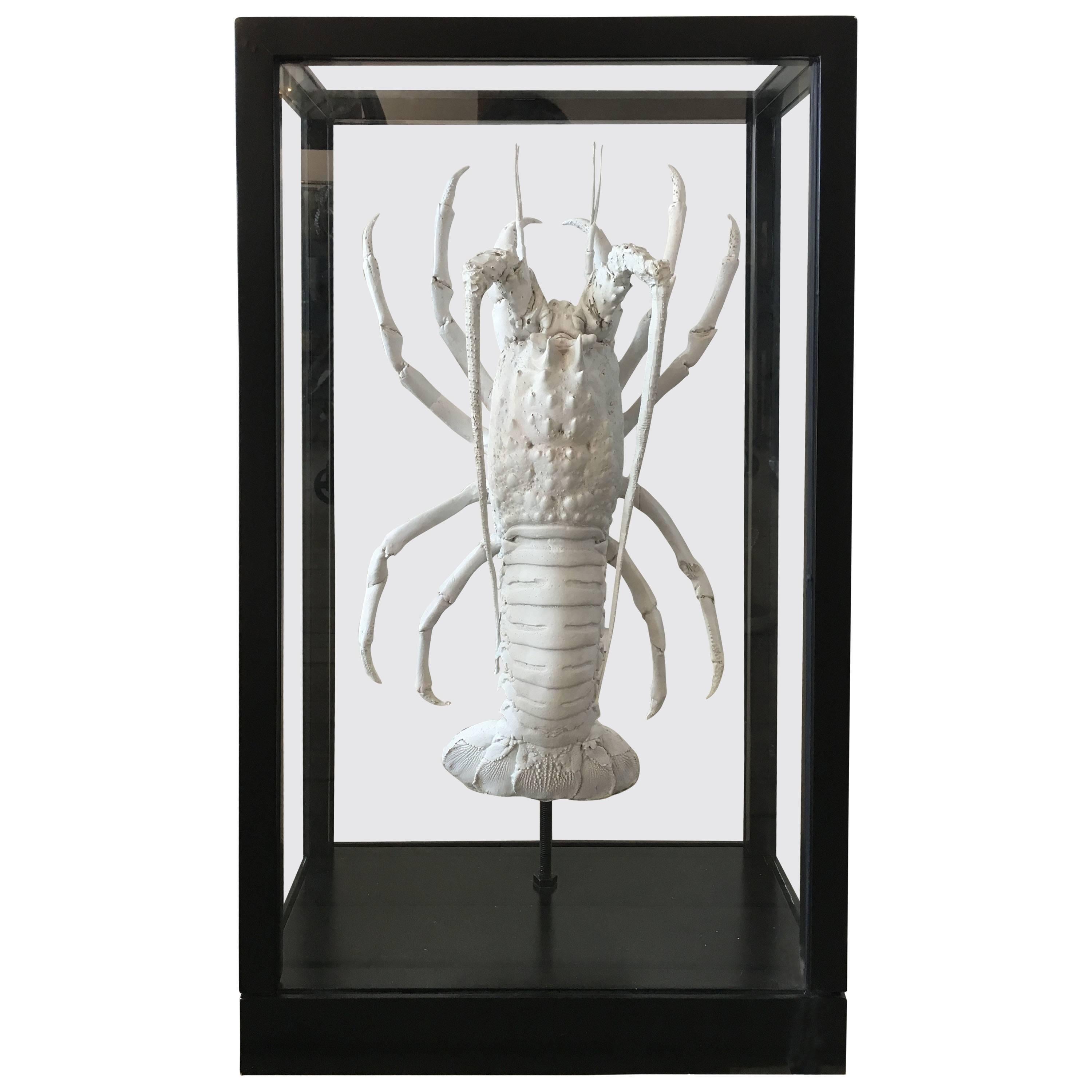 Lobster Painted White or Mounted in Black Lacquer Box with Glass Windows For Sale