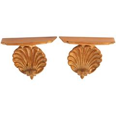 Pair of Scallop Shell Wall Shelves