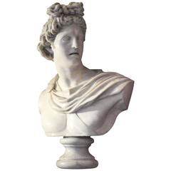 Italian Carrara Marble Bust of Apollo