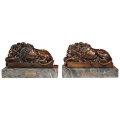 Pair of 19th Century French Bronze Lions on Marble Bases Signed J. Moigniez 9