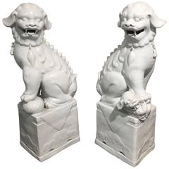 Large Pair of Chinese Mid-Century White Glazed Foo Dogs 2