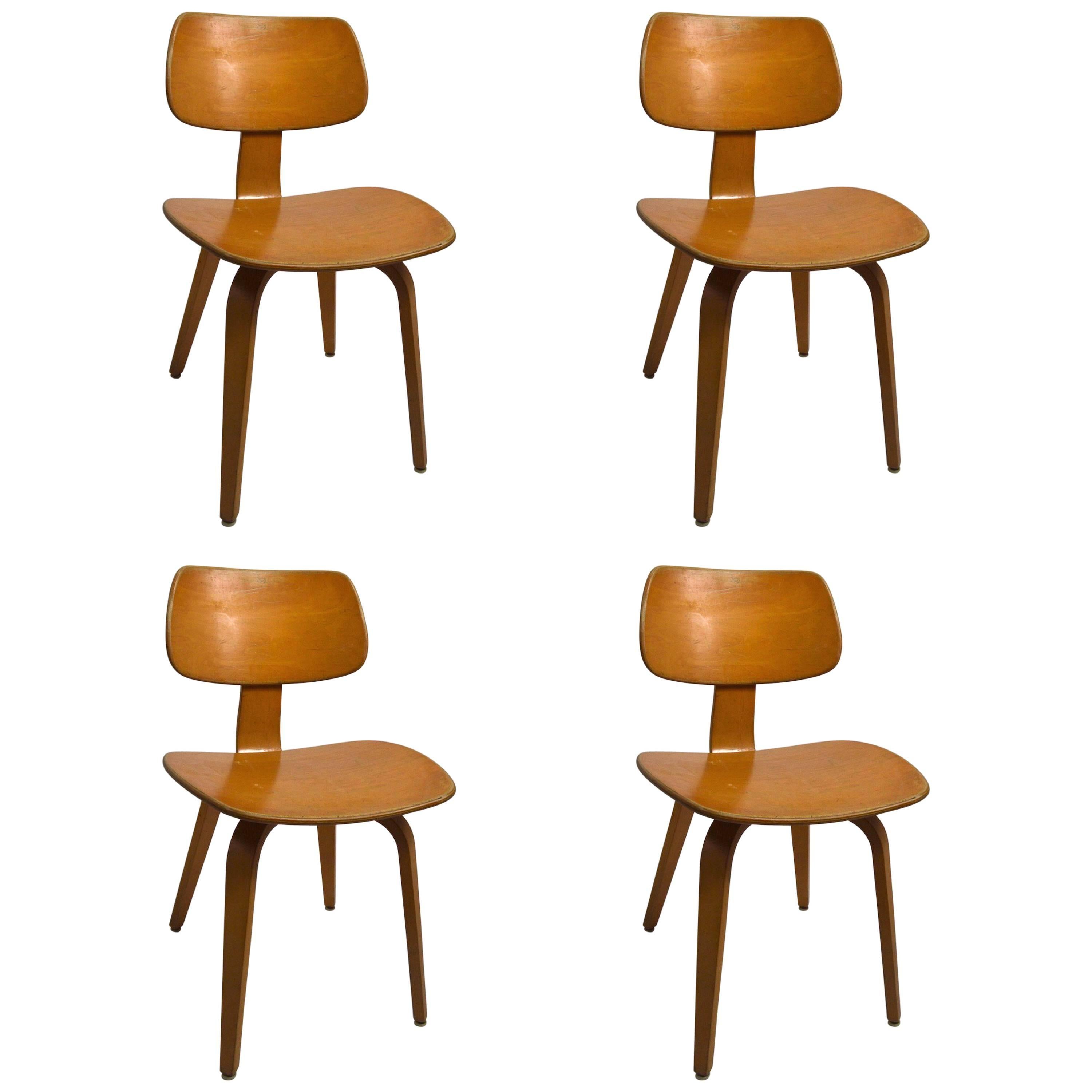 Set of Four Blonde Bent Plywood Dining Chairs by Thonet
