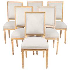 Set of Louis XVI Style Used French Dining Chairs