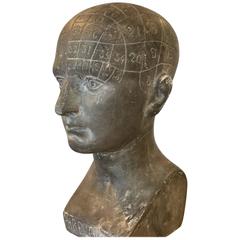 Antique Old Century Phrenology Head