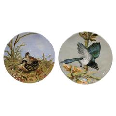 Antique Pair of Early 20th Century French Hand-Painted Birds Plates from Fontainebleau