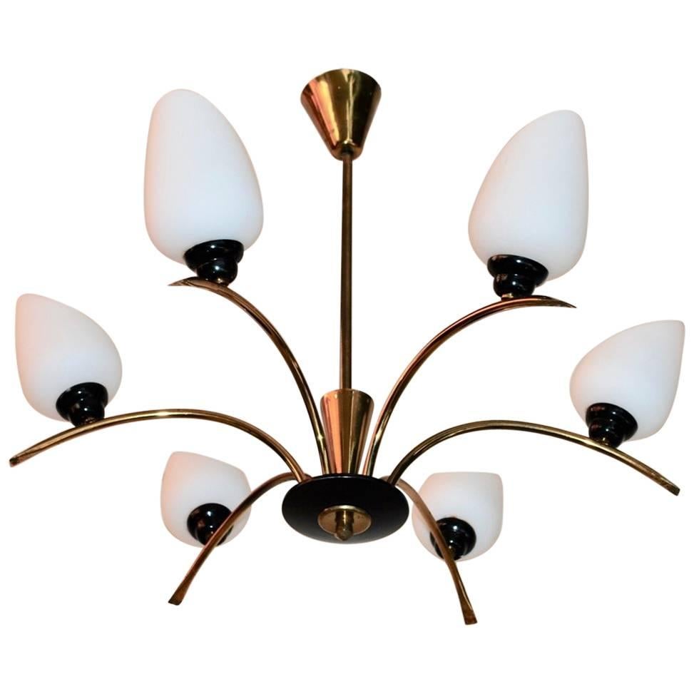 Beautiful French Mid-Century Chandelier Attributed to Maison Arlus For Sale