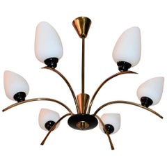 Vintage Beautiful French Mid-Century Chandelier Attributed to Maison Arlus