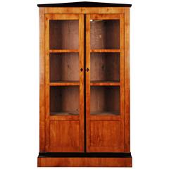 19th Century Biedermeier Style Bookcase or Vitrine 1