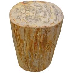 Andrianna Shamaris Petrified Wood Side Table
