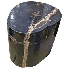 Andrianna Shamaris Petrified Wood Side Table