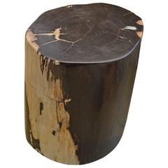 Andrianna Shamaris Petrified Wood Side Table