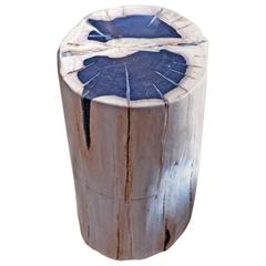 Andrianna Shamaris Petrified Wood Side Table