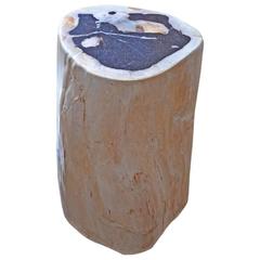 Petrified Wood Side Table 12
