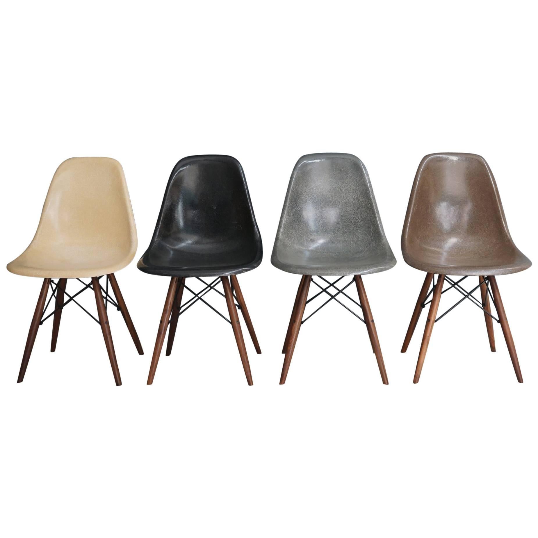 Set of Four Multi-Color Eames DSW Chairs