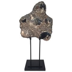 Fossilized Ammonite Cluster Sculpture