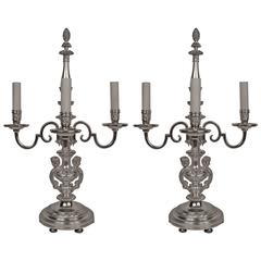 Pair of Silvered Bronze Regence Style Candelabra Form Lamps 2