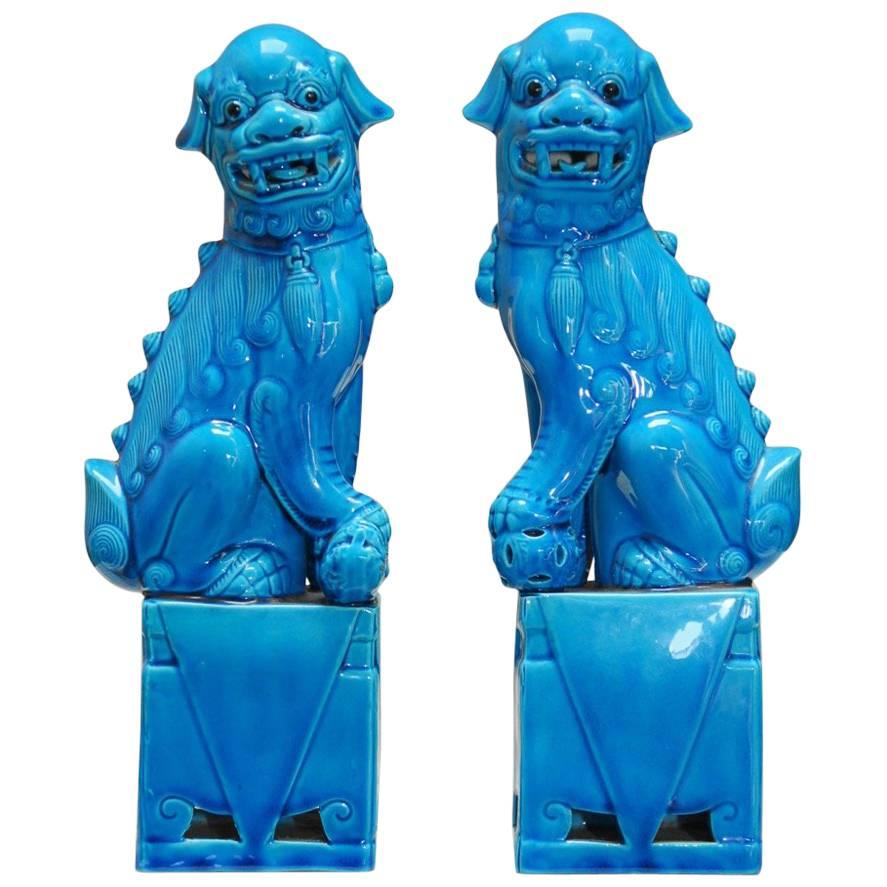 Pair of Chinese Turquoise Glazed Foo Dogs