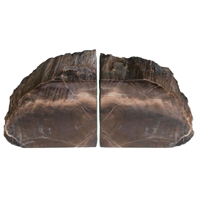 Rare Bookmatched Black Petrified Wood Polished Monolithic ...