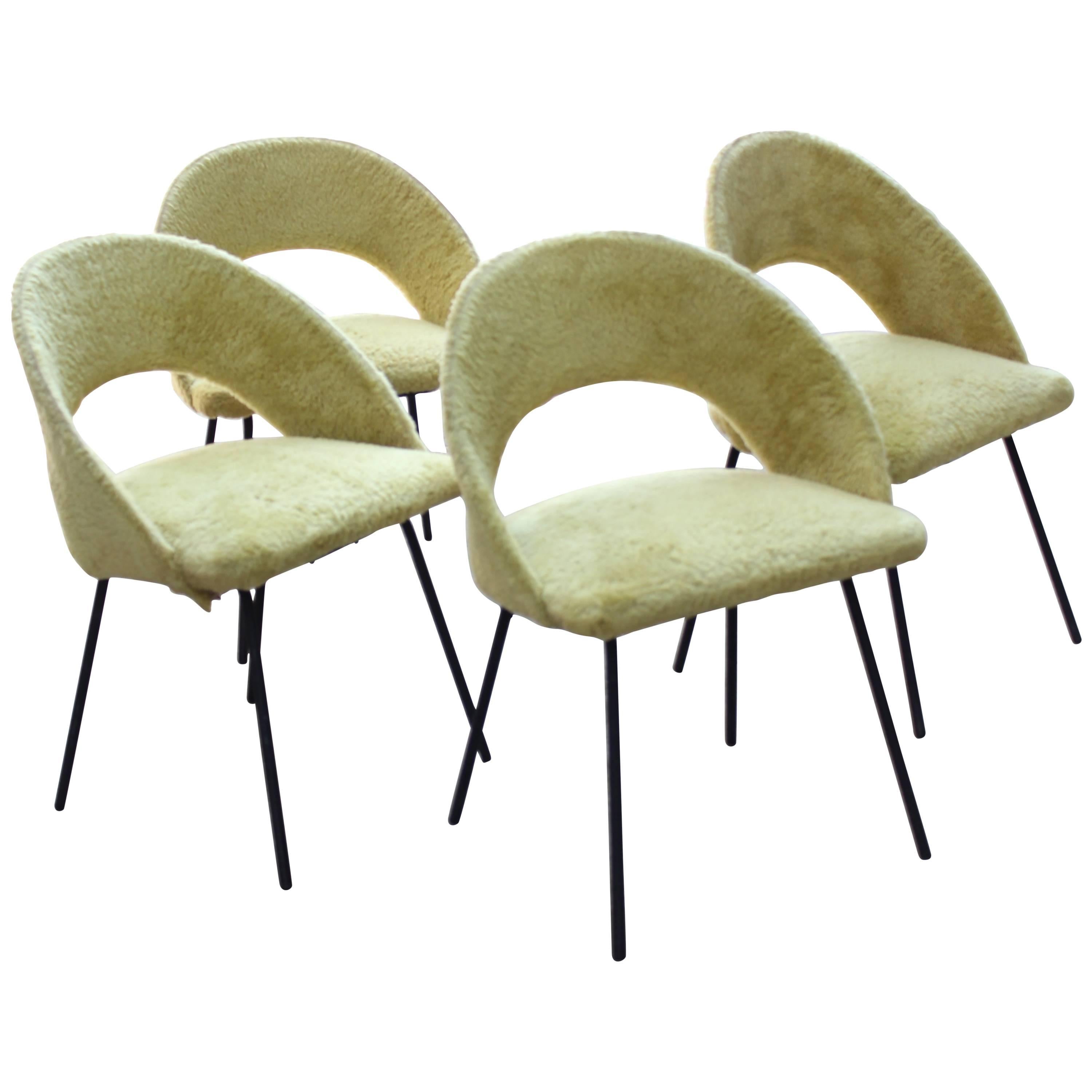 Set of Four French 1950s Chairs in Original Fleece For Sale