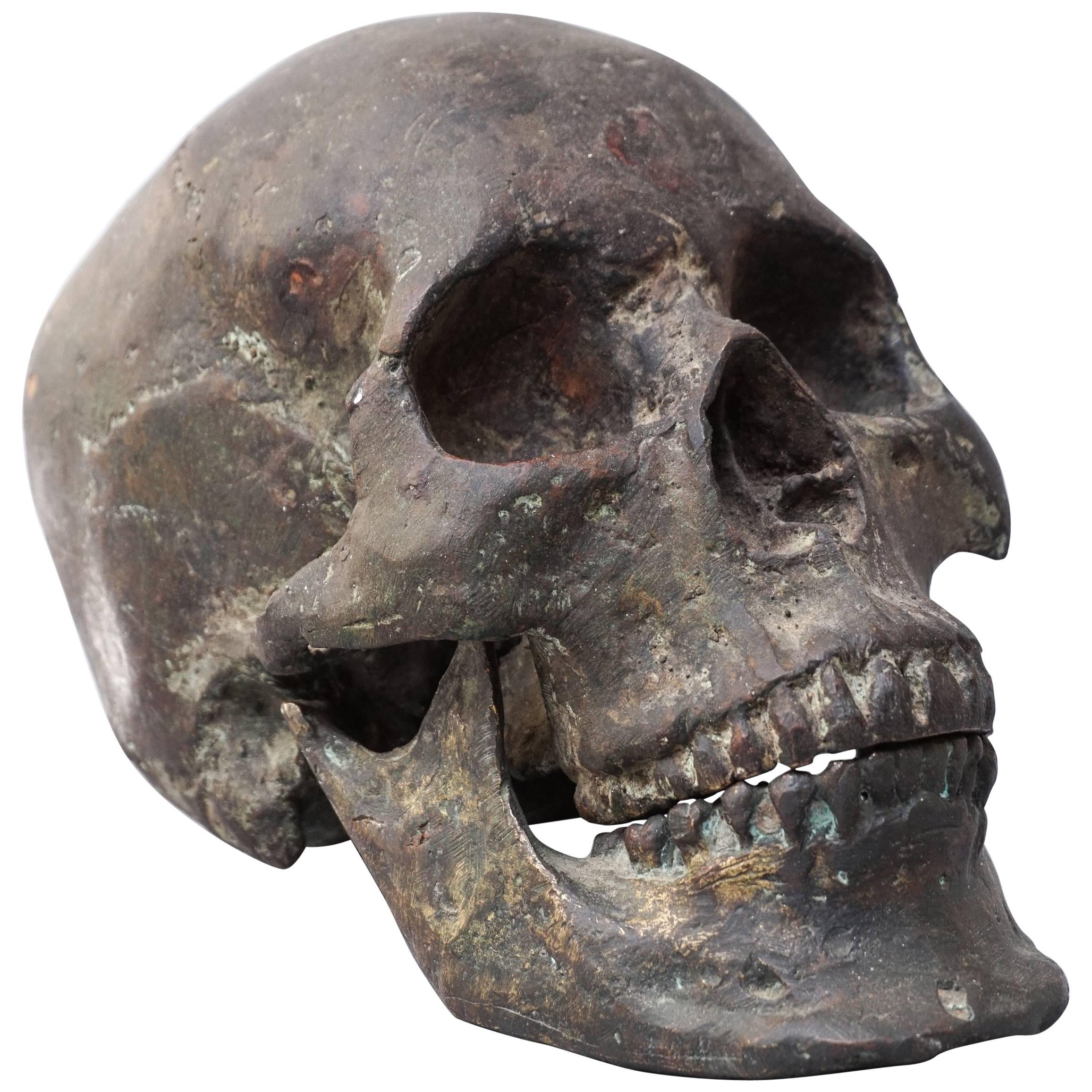 Bronze Cast of a Human Skull
