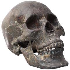Bronze Cast of a Human Skull 1