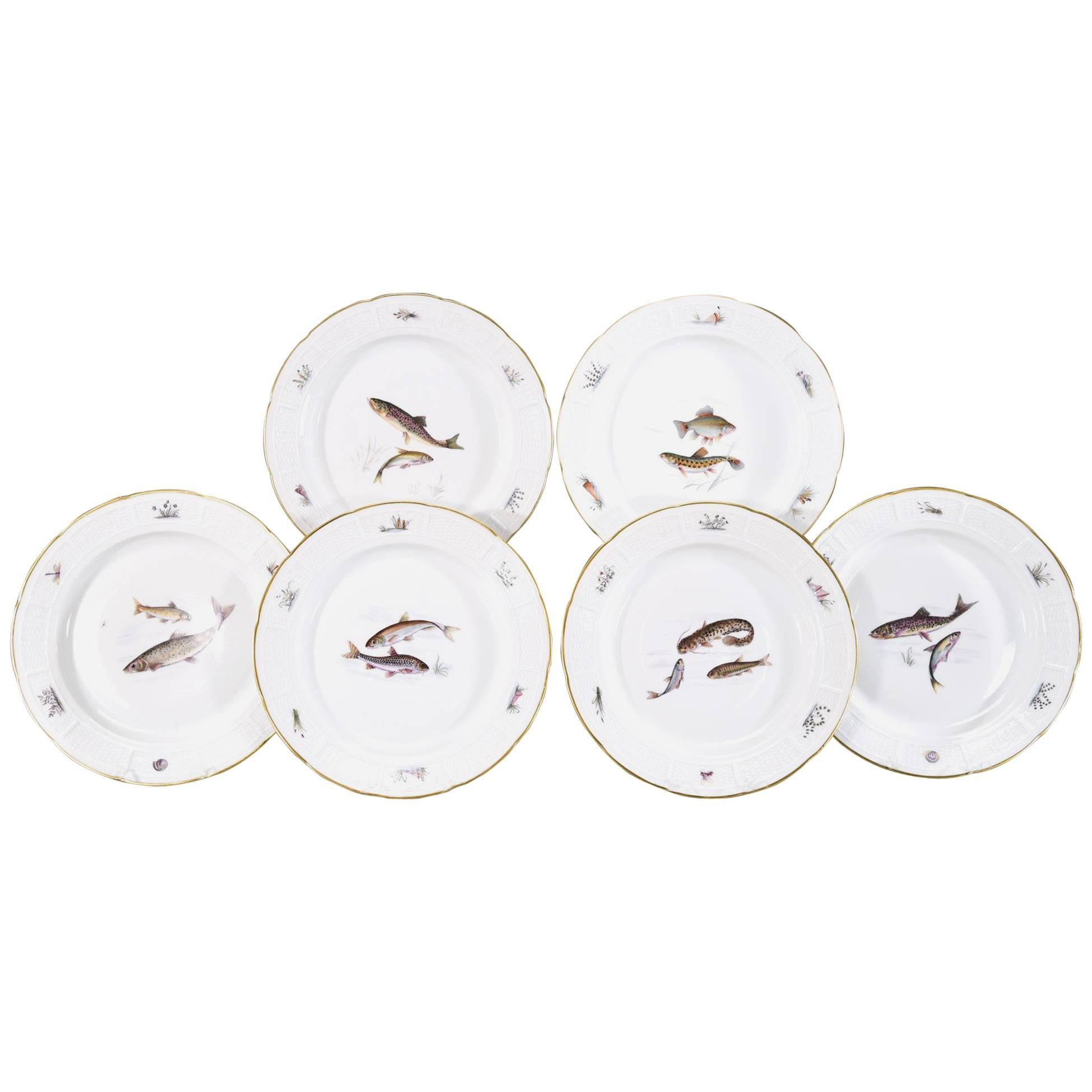18 Nymphenburg Hand-Painted Fish Plates W/ Named Fish Platter & 2 Serving Bowls