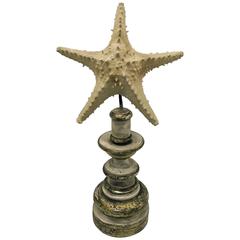Italian Giltwood Torchere with a Star Fish on the Top, circa 1830