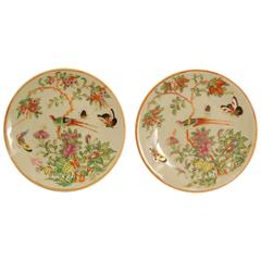 Pair of Mid-19th Century Chinese Celadon Canton Famille Rose Porcelain Plates