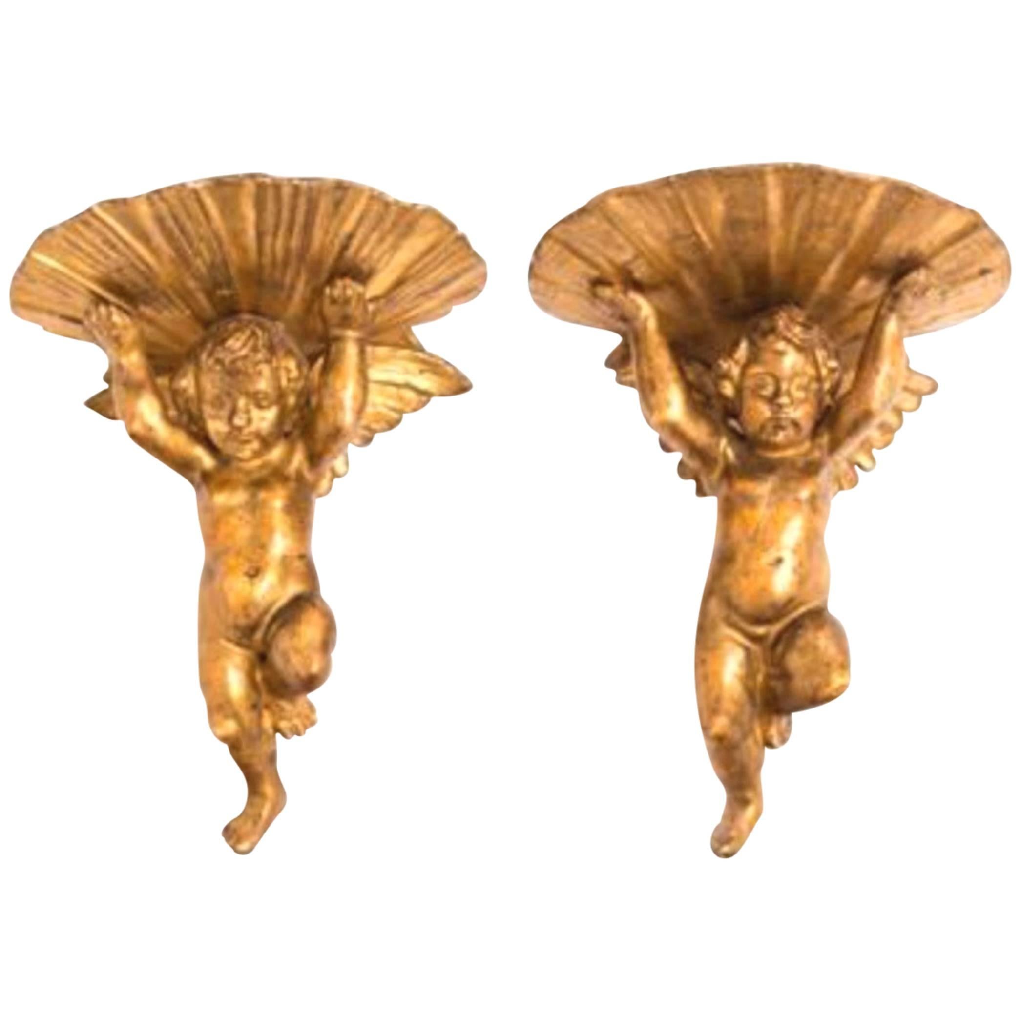 Encantadora pareja de ménsulas italianas de madera dorada del siglo XIX, concha de soporte de putti