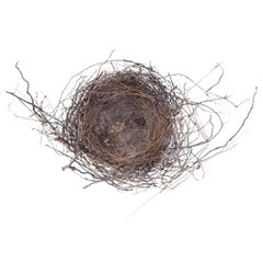 "Nest #1750" by Francine Fleischer