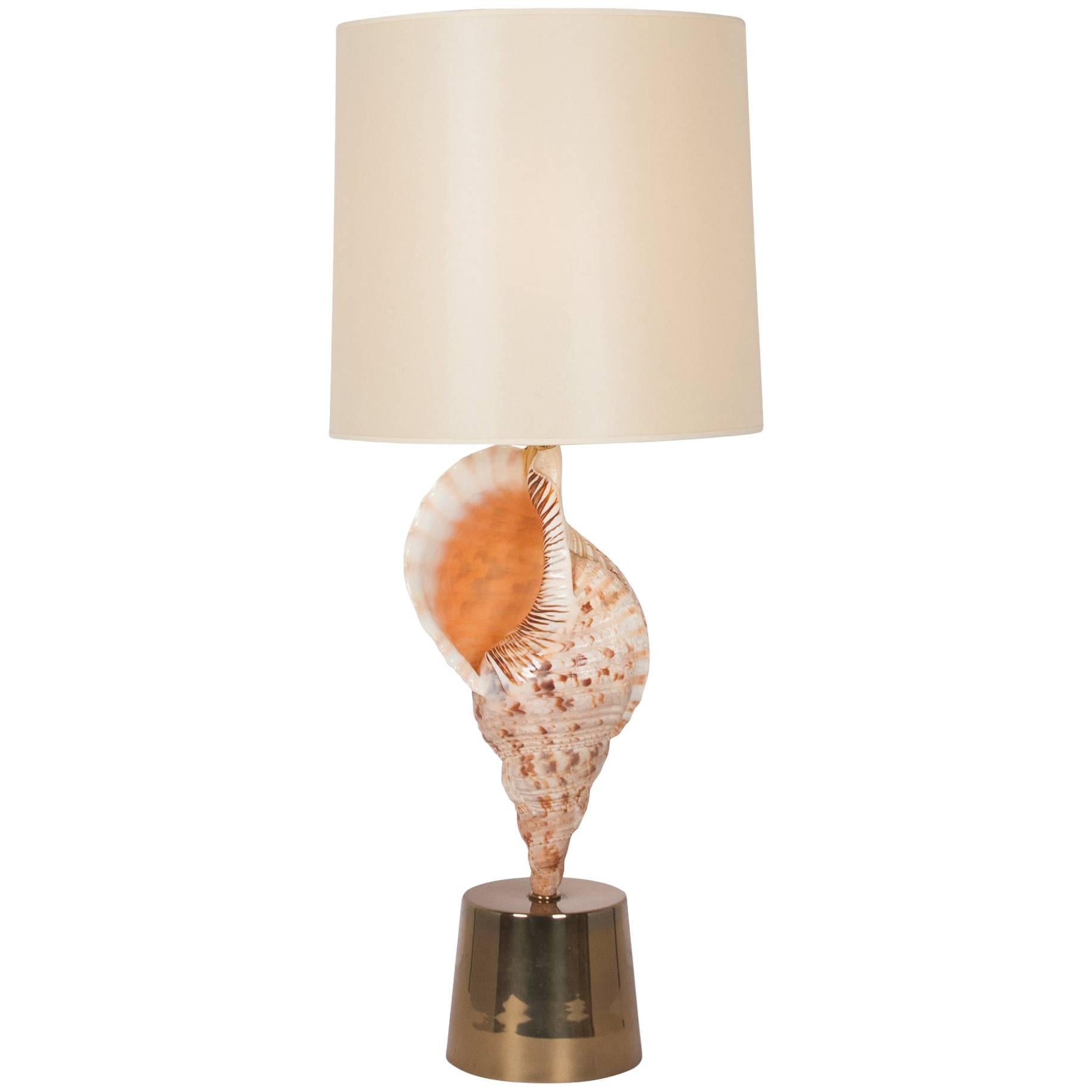 Large Mounted Seashell Table Lamp by Charles et Cie, French, 1970s For Sale