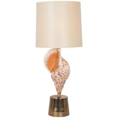 Large Mounted Seashell Table Lamp by Charles et Cie, French, 1970s