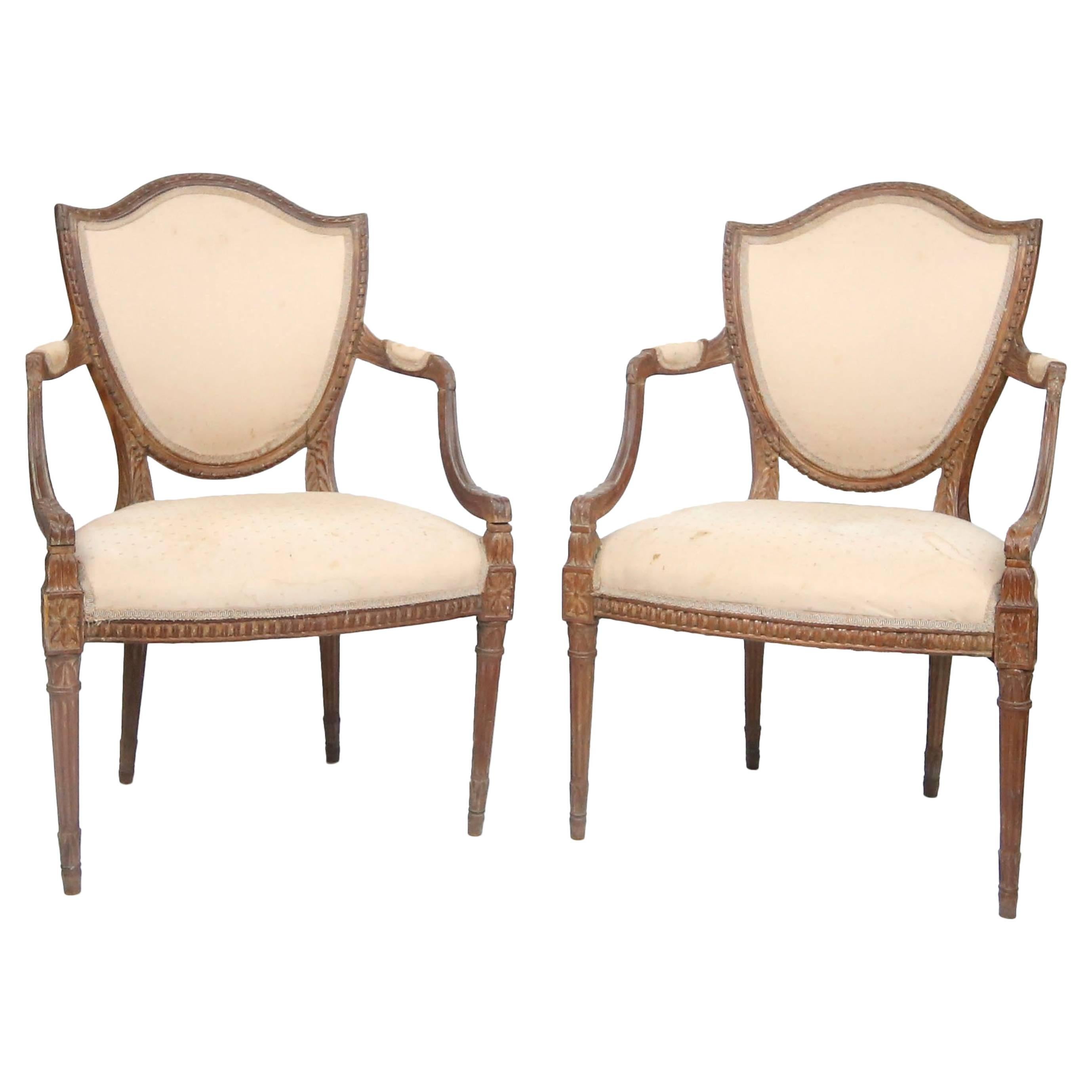 Pair of Early 20th Century Italian Hepplewhite Shieldback Chairs