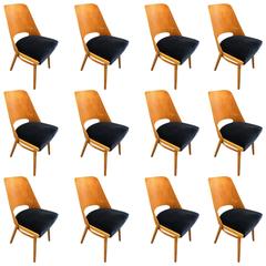 Set of 12 Italian Blue Reupholstered Chairs, circa 1960