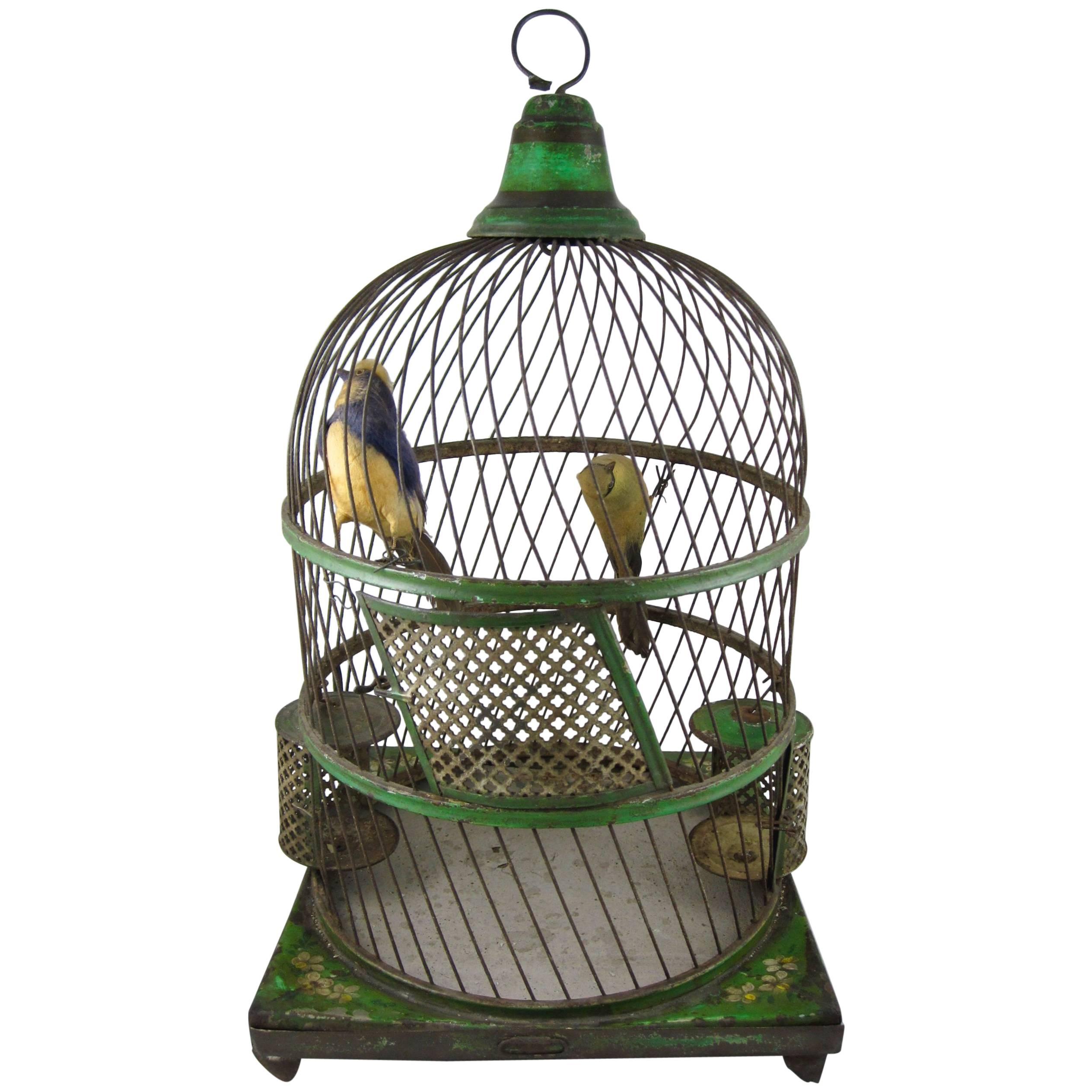 French Belle Époque Tole Peinte Bird Cage and Two Feathered Birds