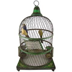 French Belle Époque Tole Peinte Bird Cage and Two Feathered Birds