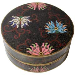 19th Century Chinese Cloisonné Decorative Box 12