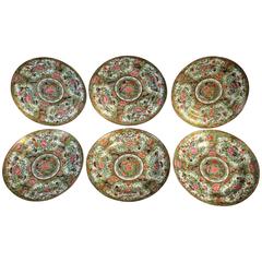 Set of Six 19th Century Chinese Famille Rose Porcelain Plates 12