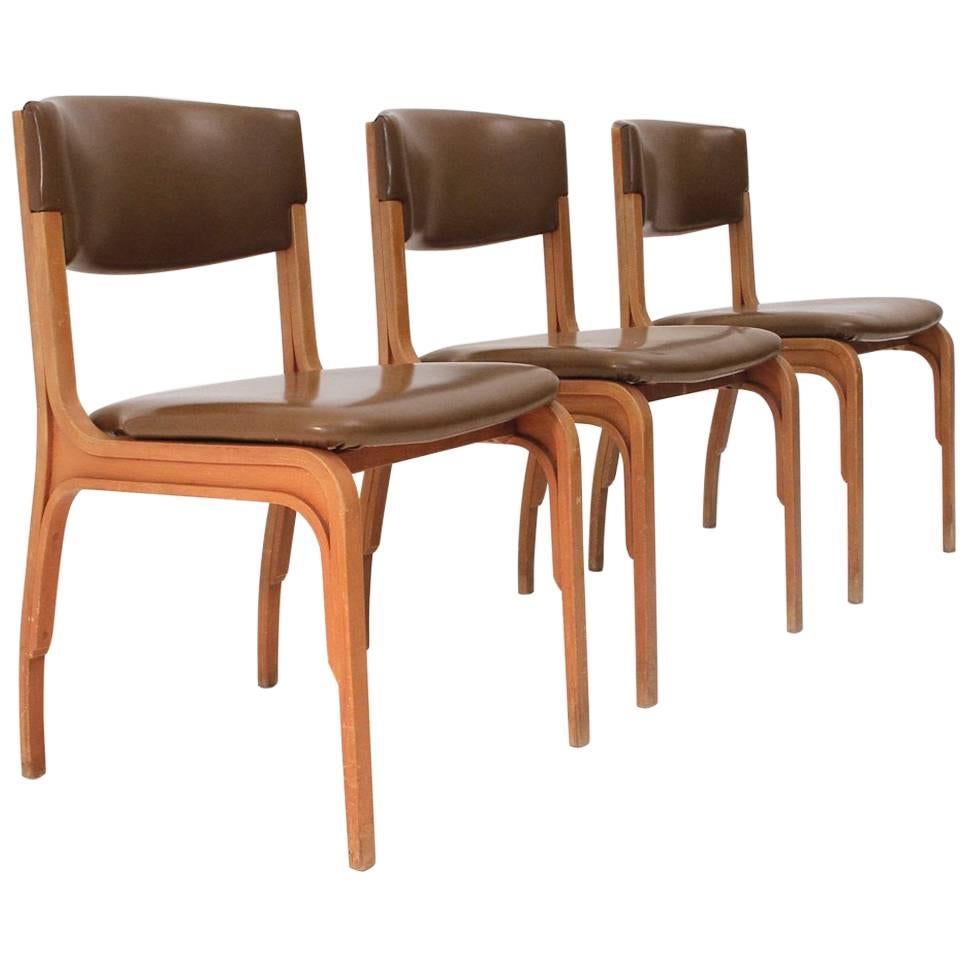 Three 1960s Italian Dining Chair by Gianfranco Frattini for Cantieri Carugati