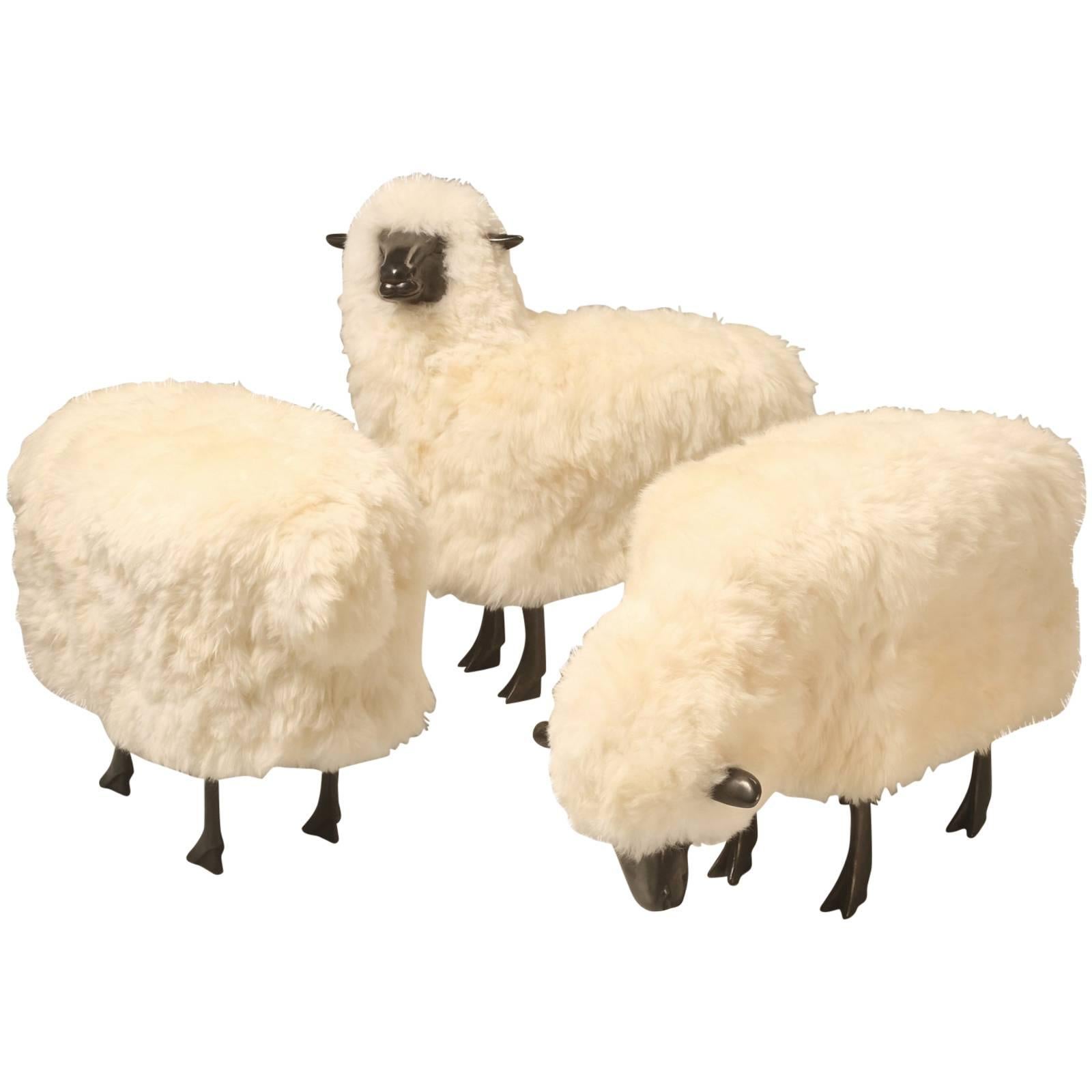  Collection of 3 Sheep from Old Plank