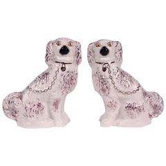 Antique Pair of Lilac Lustre Spaniel Staffordshire Mantel Dogs