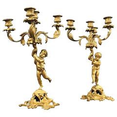 19th Century Pair of French Candleholders in Gilt Bronze