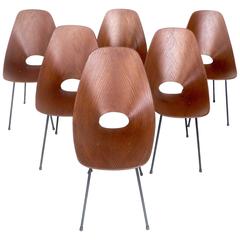 Six Medea Dining Chairs by Vittorio Nobili for Tagliabue, Milano, circa 1960 5