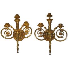19th Century Pair of French Bronze Doré Sconces 5