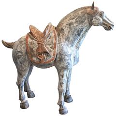 Antique Tang Dynasty Horse