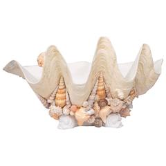 Decorative Shell Encrusted Composition Clam Shell with Natural Sea Shells