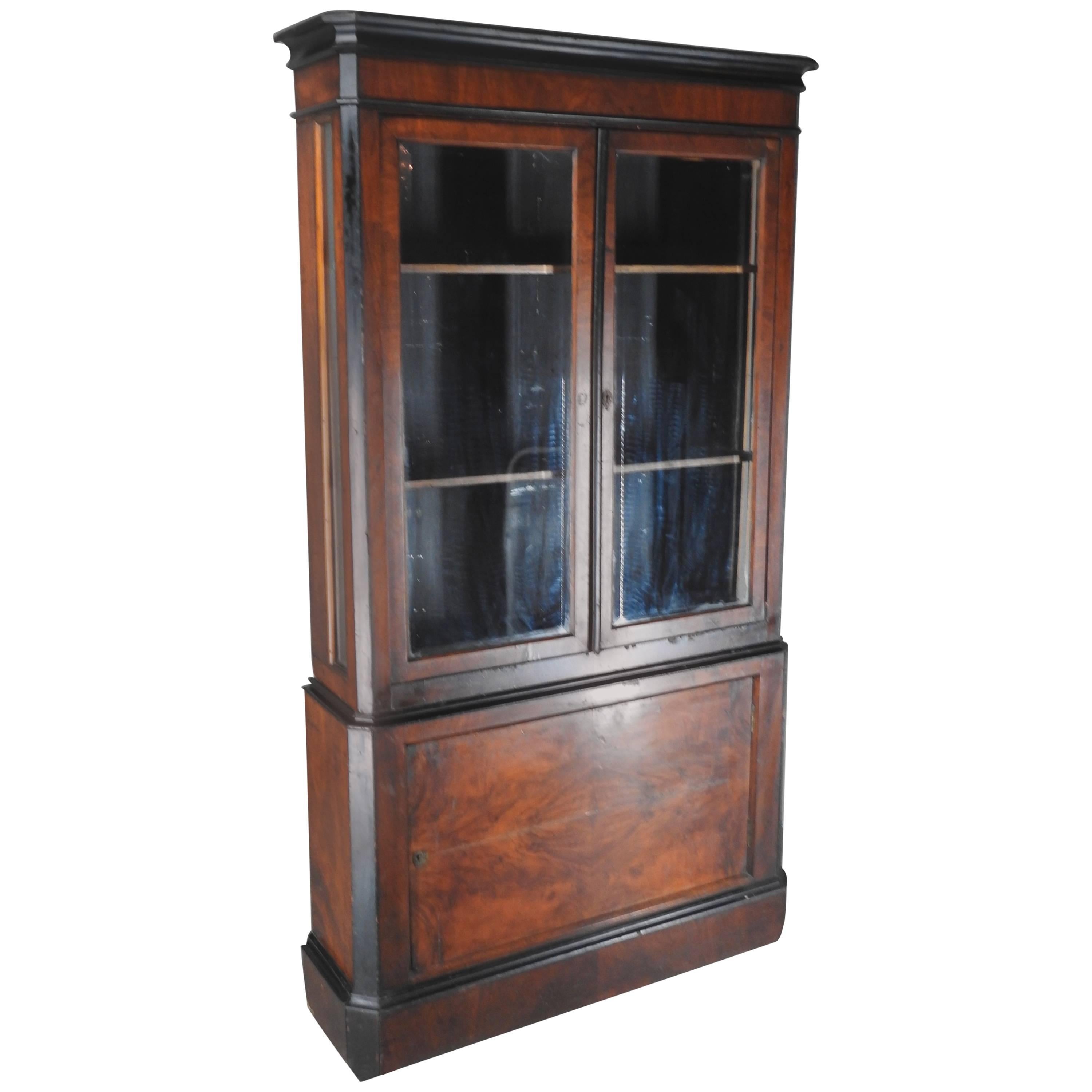 1830s Biedermeier Burled Walnut Veneer Bookcase