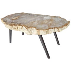 Antique Andrianna Shamaris Petrified Wood Coffee Table