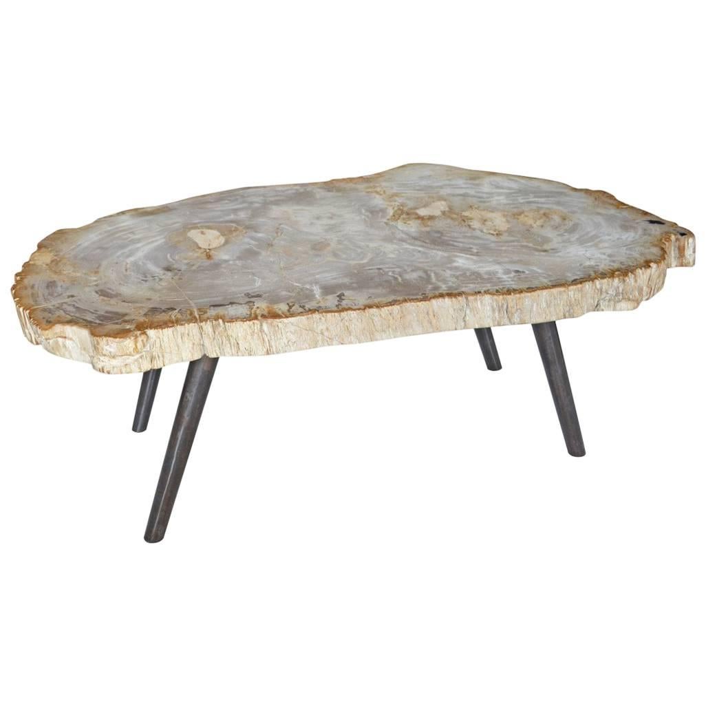 Andrianna Shamaris Petrified Wood Coffee Table at 1stDibs